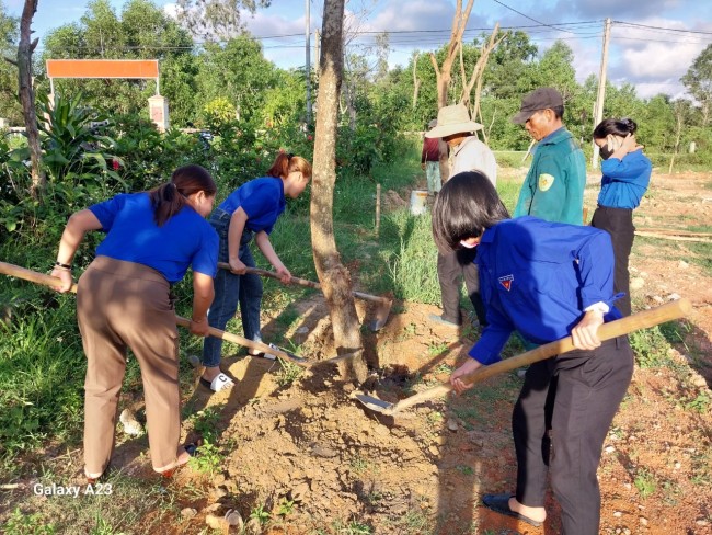 Đoàn xã Bình Định Nam phối hợp ra quân trồng cây bóng mát trên địa bàn xã