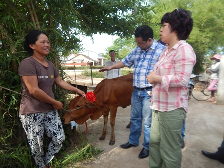 Trao bò cho gia đình chị Phan Thị Bích, thôn Kế Xuyên 1, xã Bình Trung