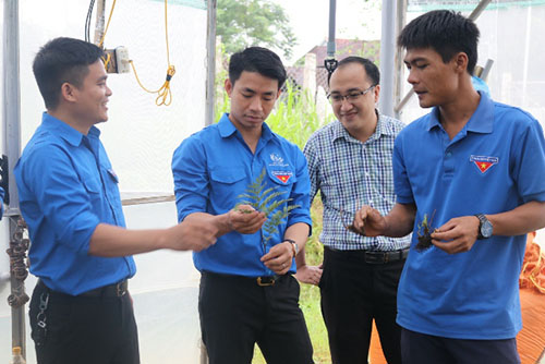 Anh Nguyễn Xuân Tiệp - Phó Bí thư Tỉnh Đoàn Nghệ An thăm mô hình thanh niên khởi nghiệp.