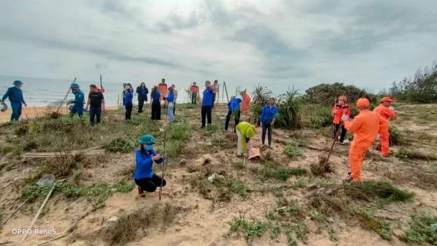 Thực hiện vành đai cây phòng hộ tại đê bờ biển thôn Hiệp Hưng, xã Bình Hải