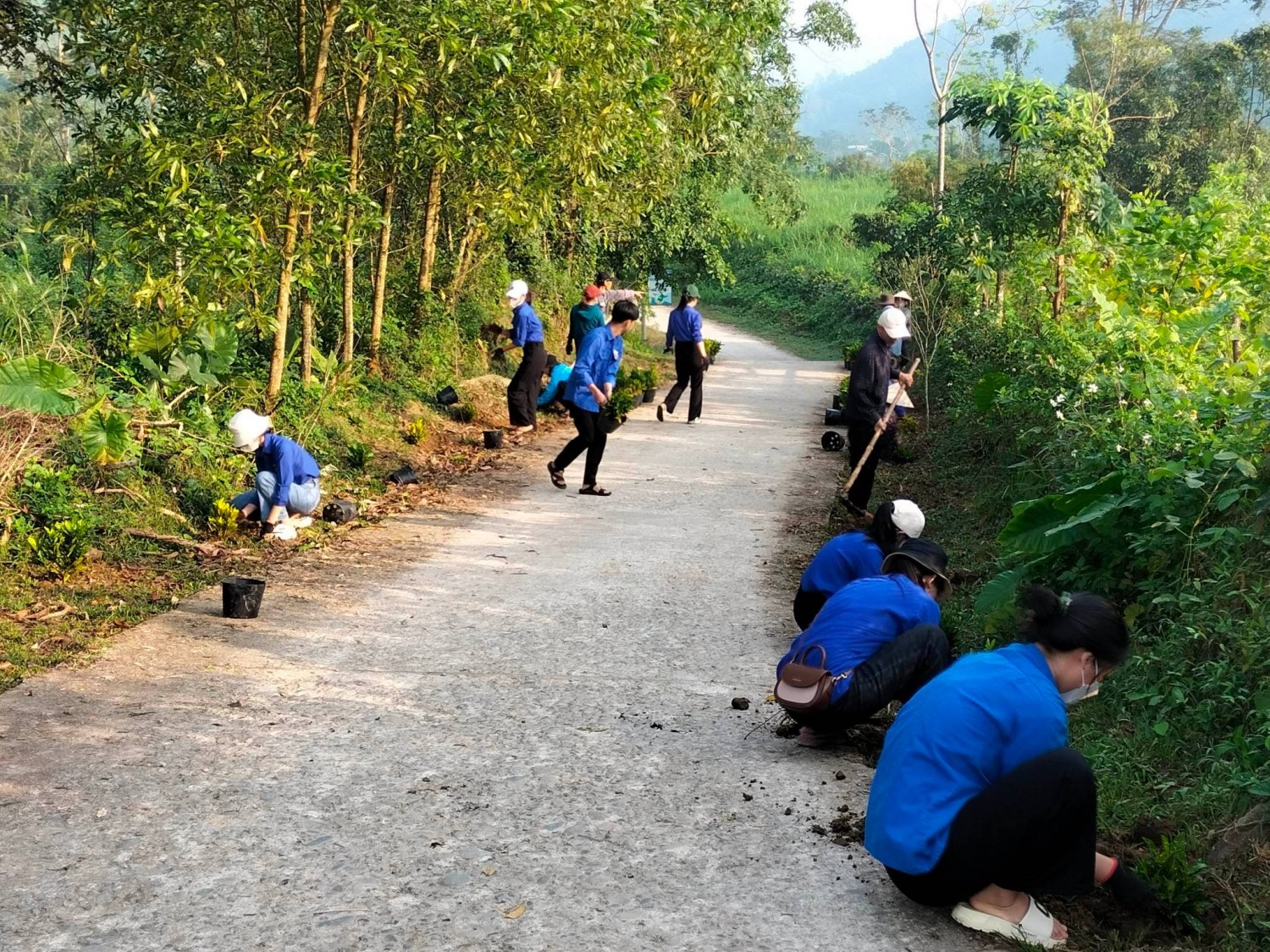 Đoàn viên, thanh niên trồng cây dọc tuyến đường chính thôn Cao Ngạn