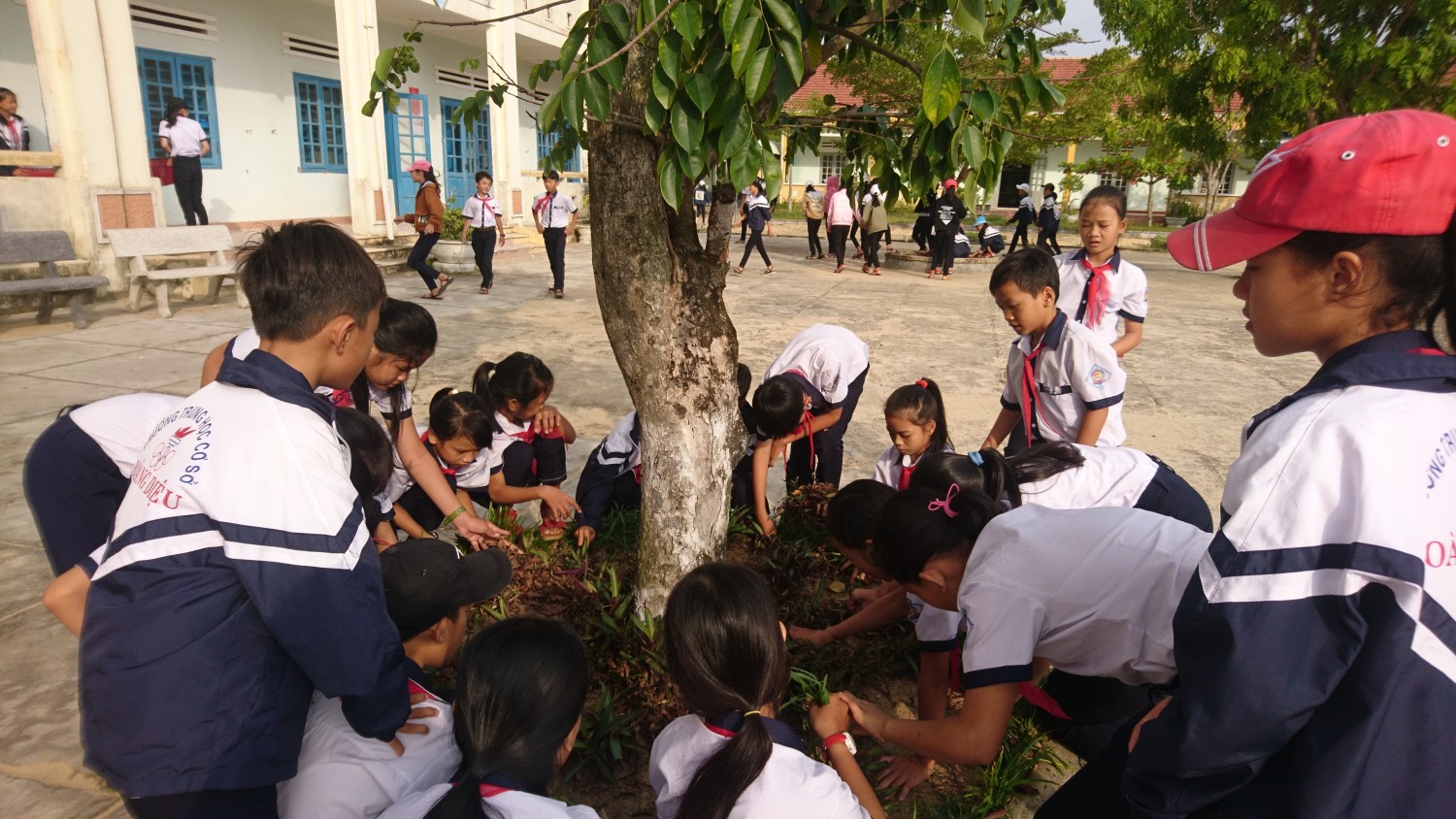 ​​Các em học sinh tham gia trồng hoa