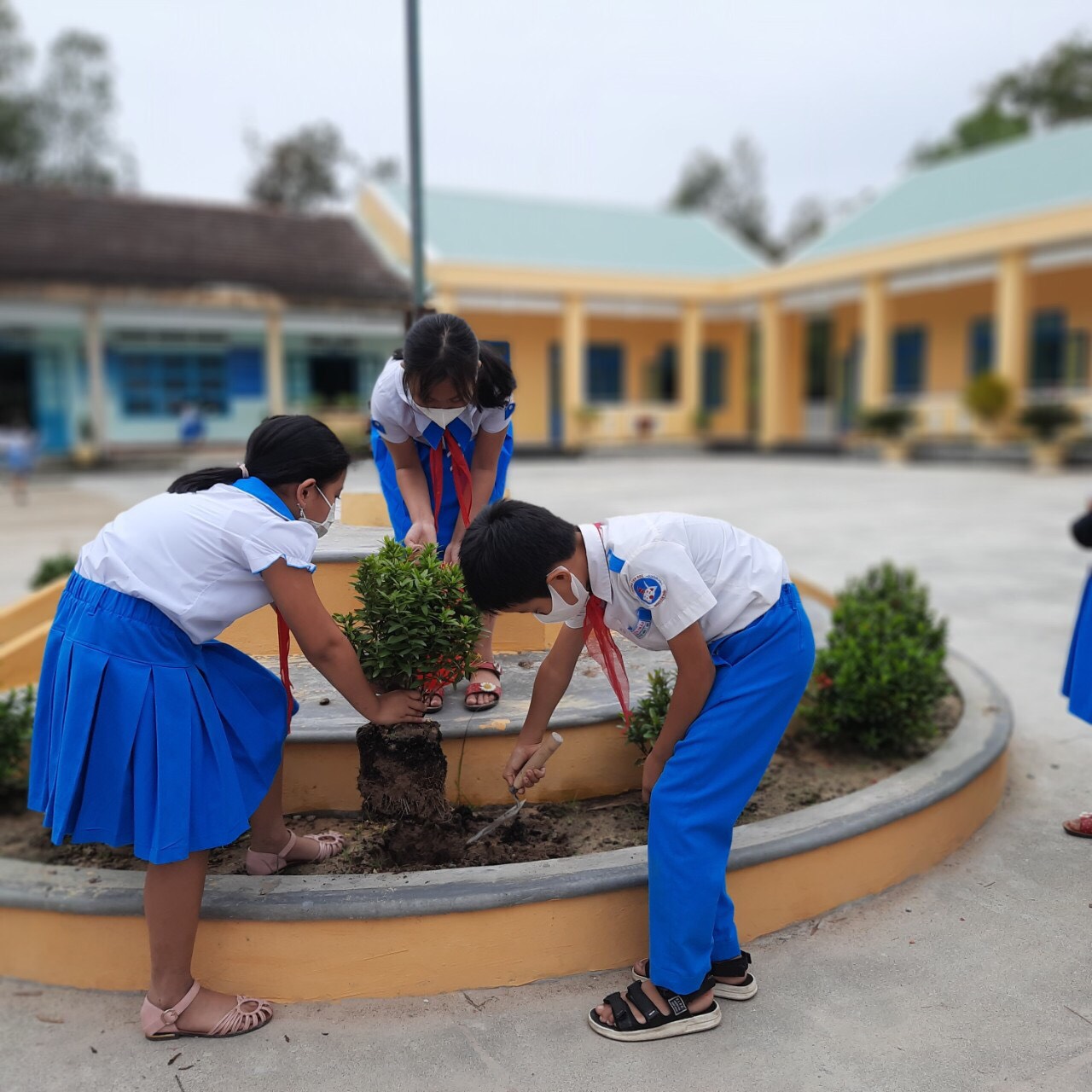 Liên đội Trường Tiểu học Nguyễn Trãi tổ chức phong trào "Góp một cây để có rừng"